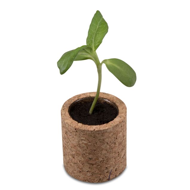 Produktbild eines unbedruckten Korktopfes.