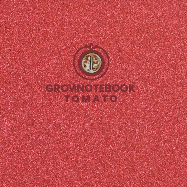 Großaufnahme Cover mit Tomatensamen.