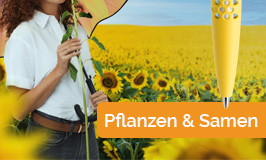 bedruckte Samentüten, Blumen, Pflanzen