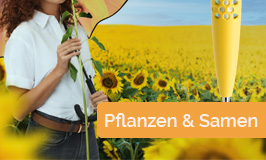 bedruckte Samentüten, Blumen, Pflanzen